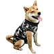 Dog clothes